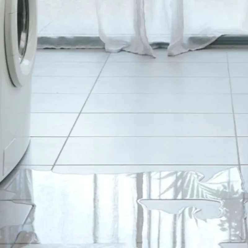 Appliance Leak Cleanup in Stillwater, MN