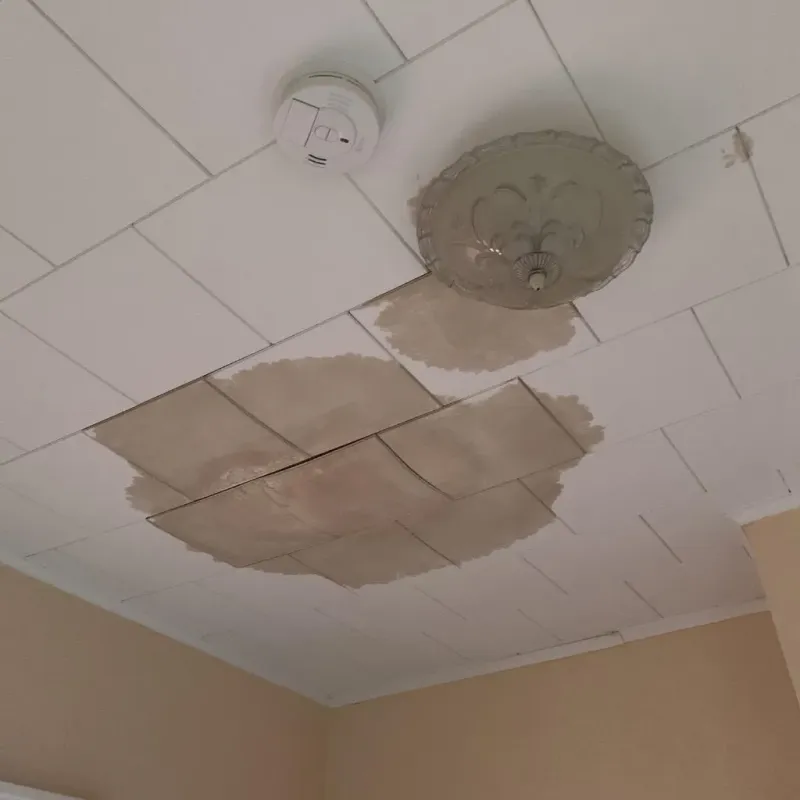 Ceiling Water Damage Repair in Stillwater, MN