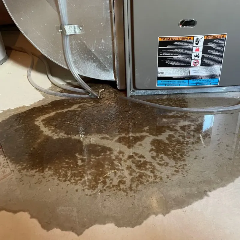 Pipe Burst and Leak Restoration in Stillwater, MN